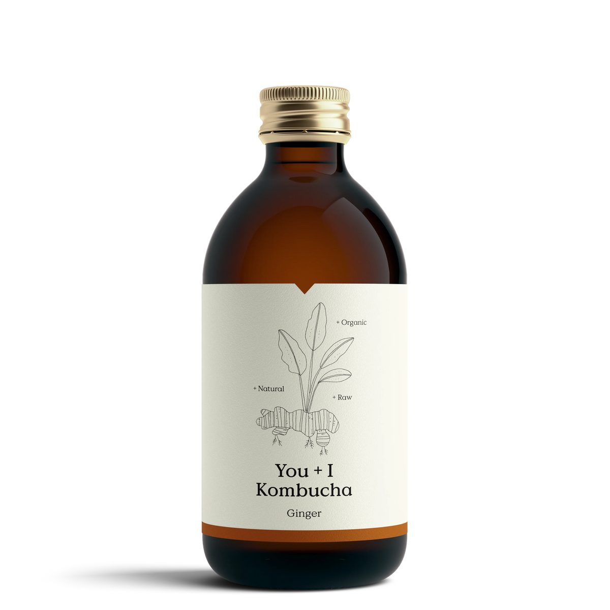 You + I Kombucha Ginger